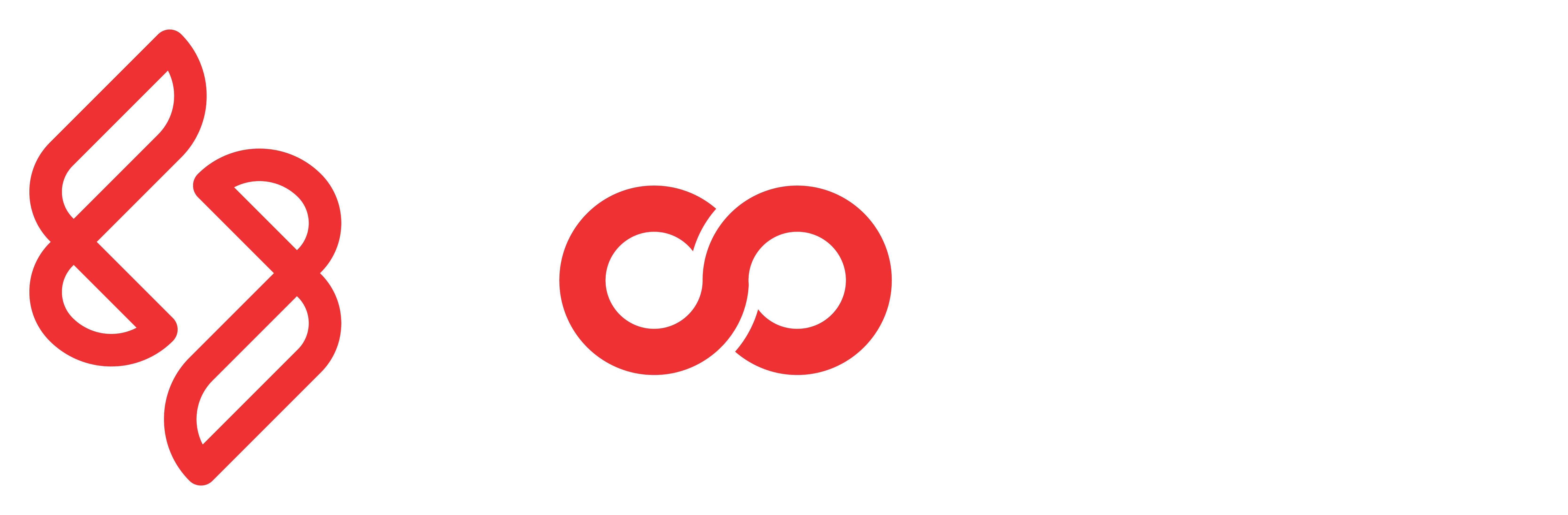 Loomdo Logo White